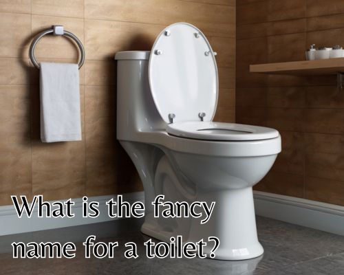 a clean toilet with good plumbing