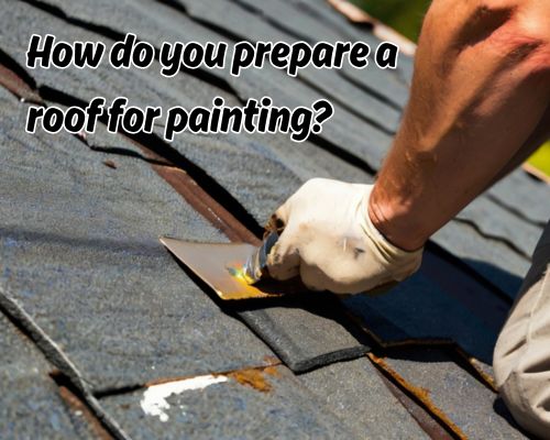 a professional preparing roof for painting