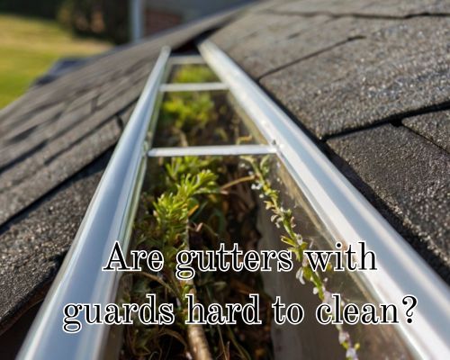 Grimy gutter with plant growth.