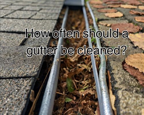 Gutter packed with soil and leaves.